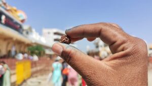 pradeep mishra rudraksh